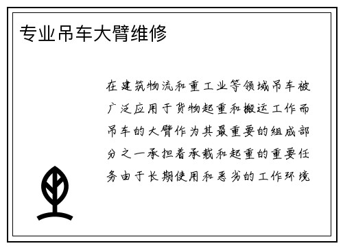 专业吊车大臂维修