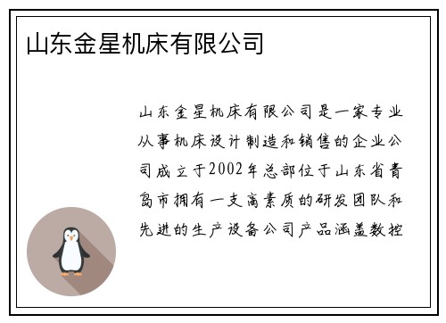 山东金星机床有限公司